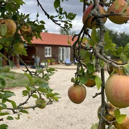 Walnut Tree Cottage Barn Toppesfield Exteriör bild