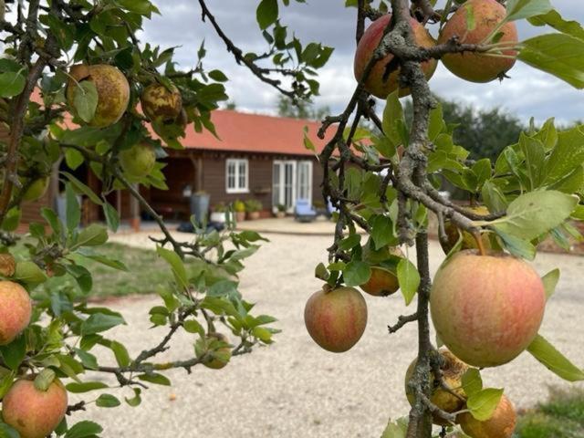Walnut Tree Cottage Barn Toppesfield Exteriör bild